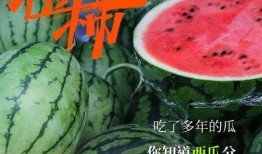 什么内容是吃瓜群众最喜欢的,吃瓜群众最爱的热门话题揭秘