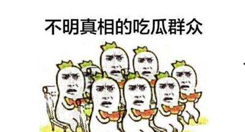 吃瓜群众leo,揭秘娱乐圈背后的那些事儿