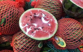 上海吃瓜群众的地方,吃瓜群众的市井百态