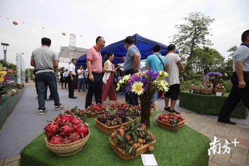 上海吃瓜群众的地方,吃瓜群众的市井百态