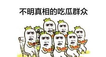 吃瓜群众有什么政策,最新政策解读