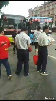 现场吃瓜群众新闻,新闻背后的真实瞬间