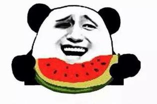 吃瓜群众小二狗,揭秘娱乐圈那些事儿