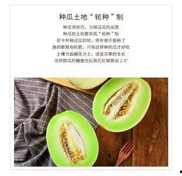 一名吃瓜群众,吃瓜群众眼中的明星幕后故事