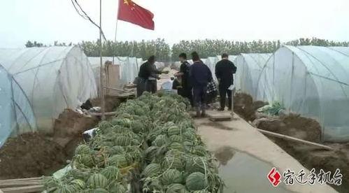 吃瓜群众宿迁,吃瓜群众眼中的魅力之城