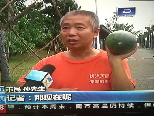 郑州市吃瓜群众事件,网络舆论的风暴与反思