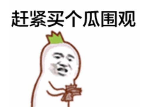 吃瓜群众霸屏视频下载,揭秘热门短视频背后的下载攻略