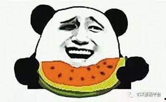 沙雕动漫吃瓜群众视频大全,吃瓜群众视频大全盘点