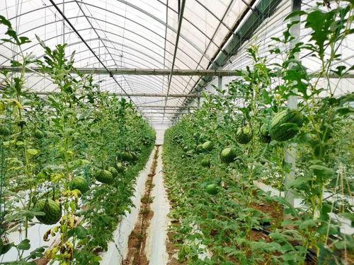 吃瓜群众越来越红,网络时代的“红人”崛起