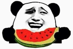 豆瓣吃瓜群众cj,揭秘网络舆论场中的“瓜农”生活