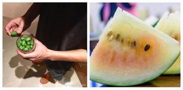 吃瓜群众干饭的说说,趣味横生的网络流行语解析