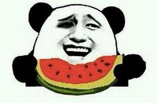 一个吃瓜群众一个演员,吃瓜群众眼中的明星演员