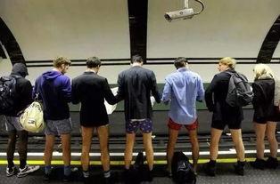 吃瓜群众穿搭分享论坛,吃瓜群众穿搭分享盛宴