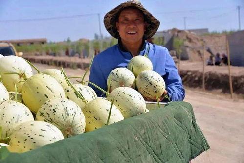 疫情群众吃瓜的图片,网络围观背后的社会现象