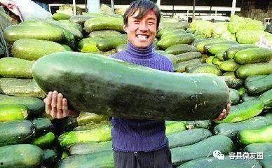 疫情群众吃瓜的图片,网络围观背后的社会现象