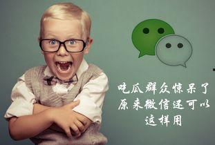 群聊吃瓜群众,揭秘网络社交背后的趣味与争议