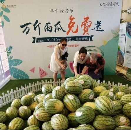 吃瓜群众上线淮南新闻最新,吃瓜群众热议最新动态,揭秘幕后真相