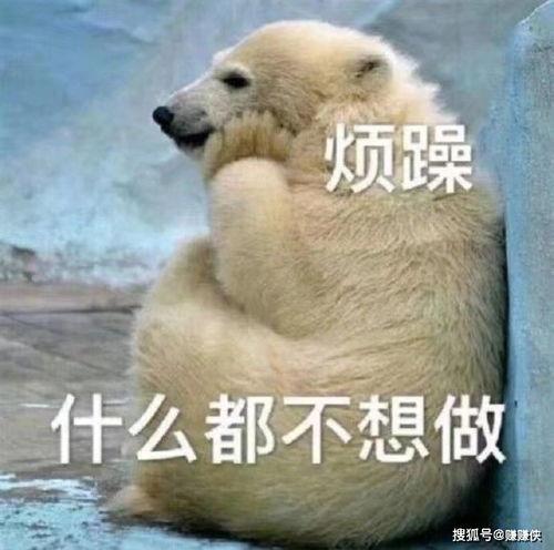 坐着吃瓜群众图片,吃瓜群众的日常