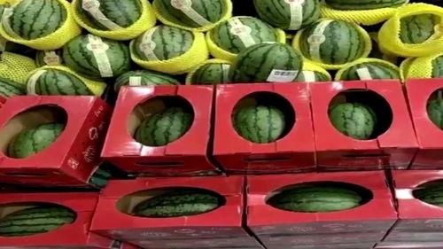 吃瓜视频群众抽奖,吃瓜视频群众抽奖活动火热进行中！