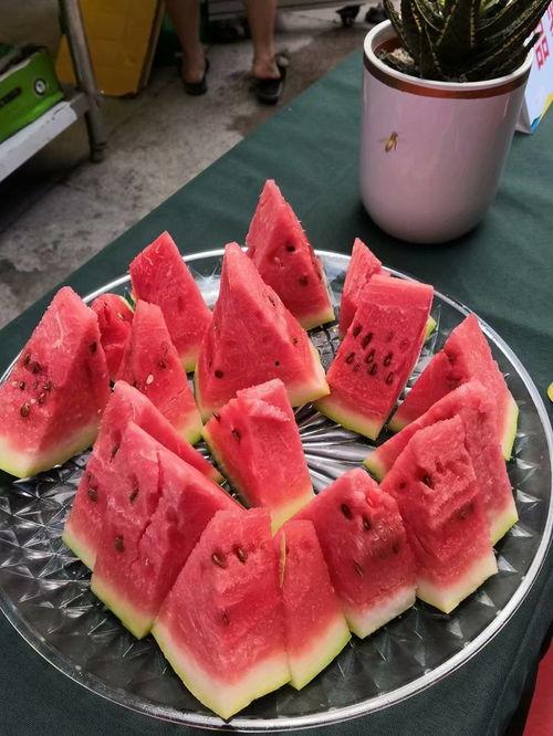 吃瓜群众泡菜视频大全集,一场味蕾与视觉的盛宴