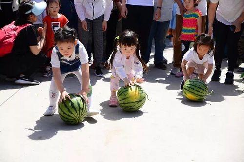 吃瓜群众的全部作品,揭秘娱乐圈背后的真相与笑料